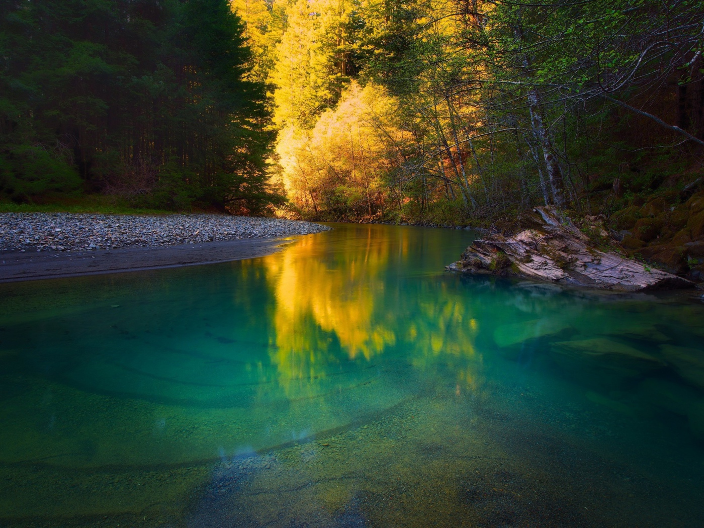 Галька на берегу спокойной мелкой реки в лесу