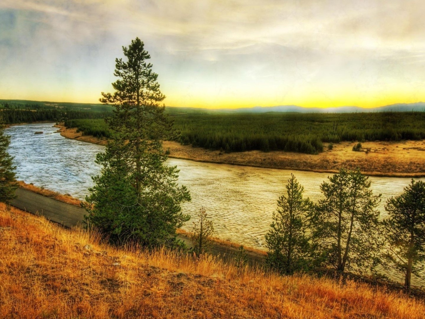 Река в тайге