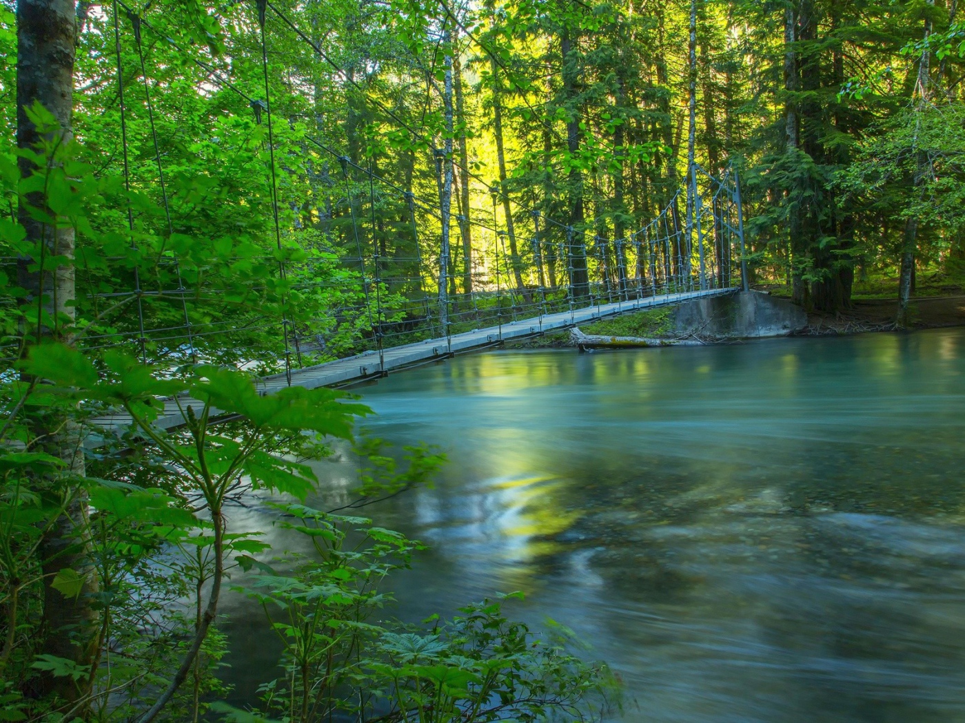 Веревочный мостик над рекой среди леса