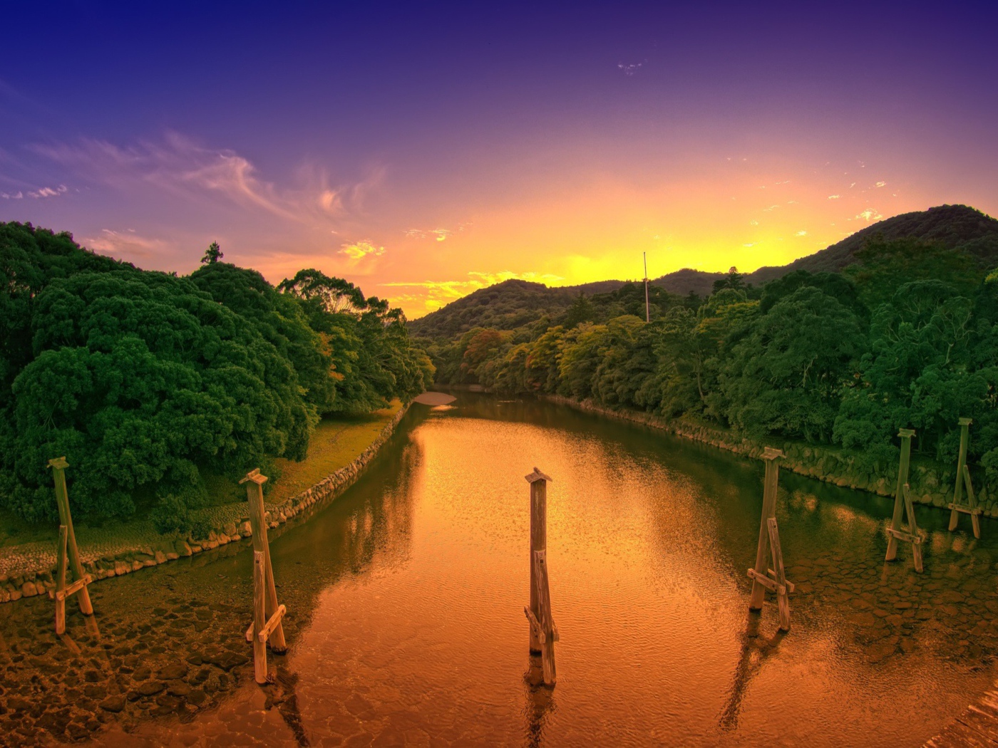 Деревянные столбы в канале