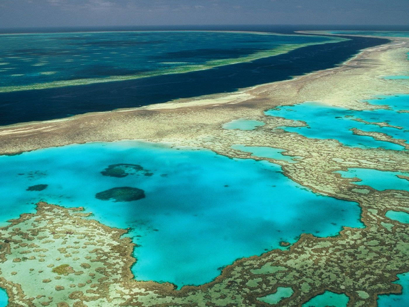 Коралловые рифы в океане