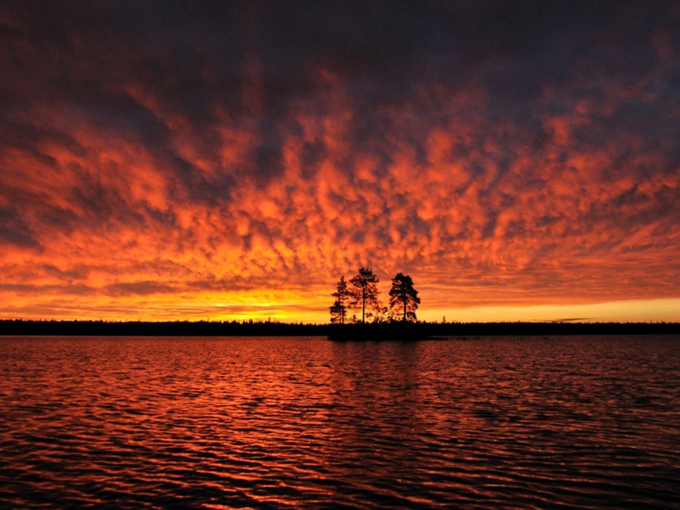 Силуэты деревьев на острове под горящим небом