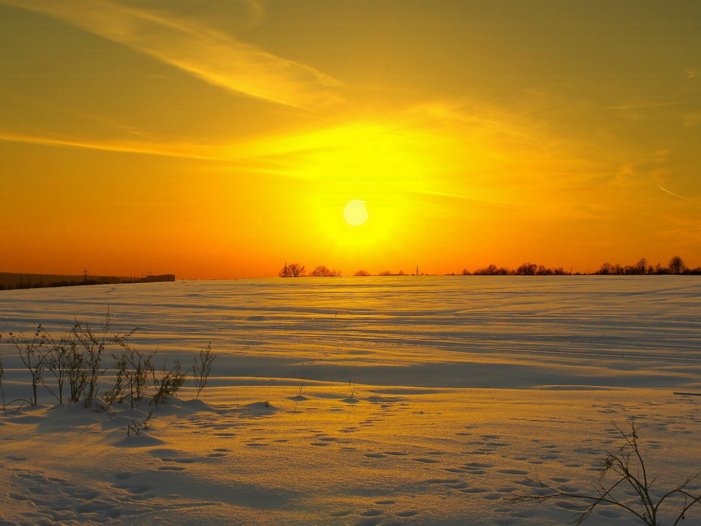 Солнце клонится к закату над заснеженным полем