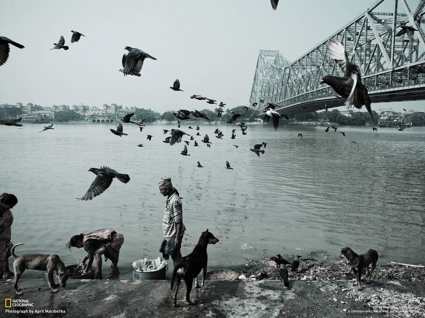 Жизнь людей и животных