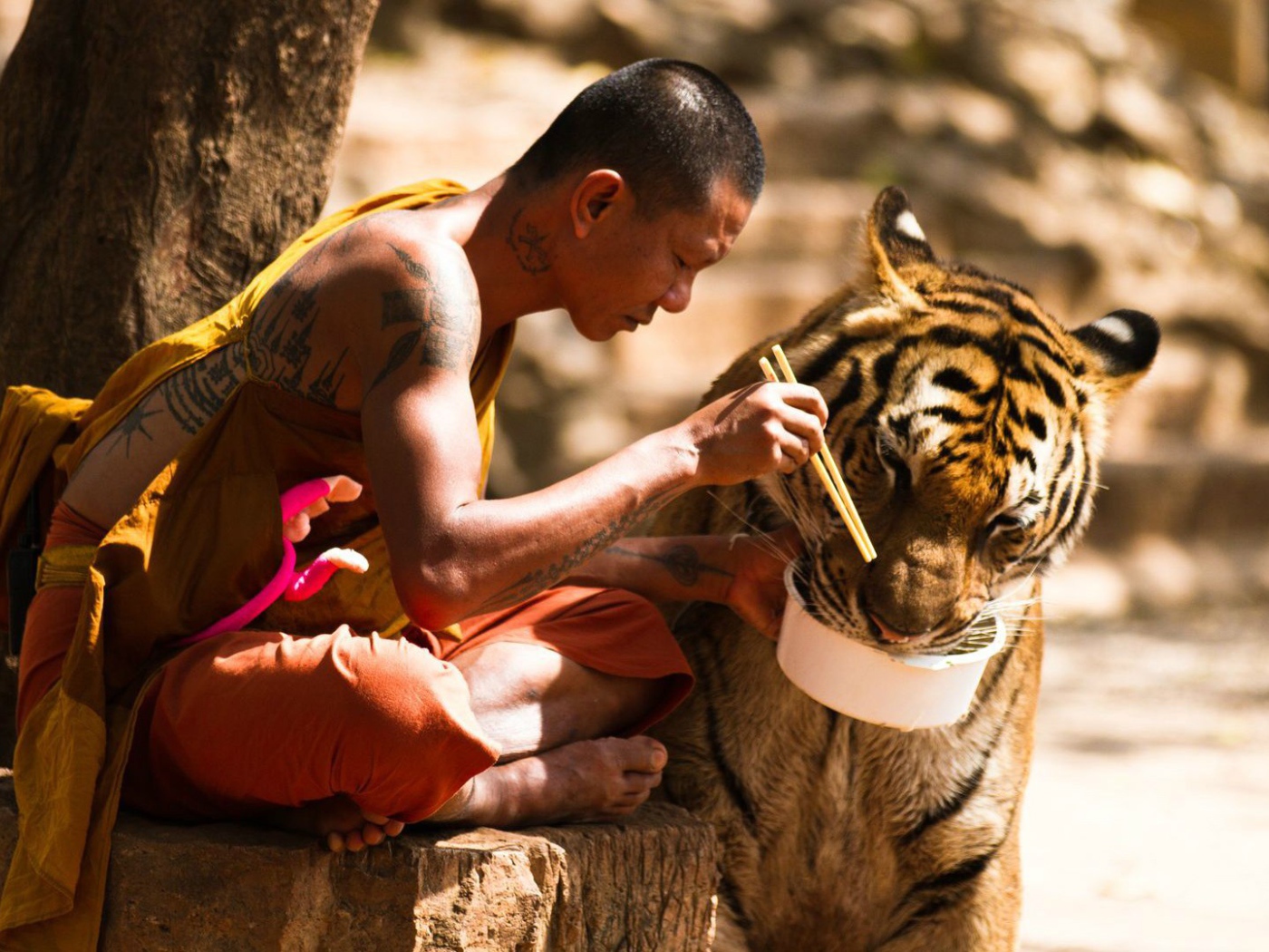 Тибетский монах и его питомец