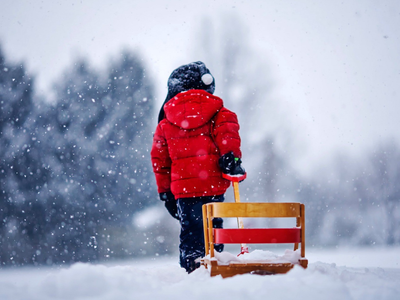Ребенок везет санки
