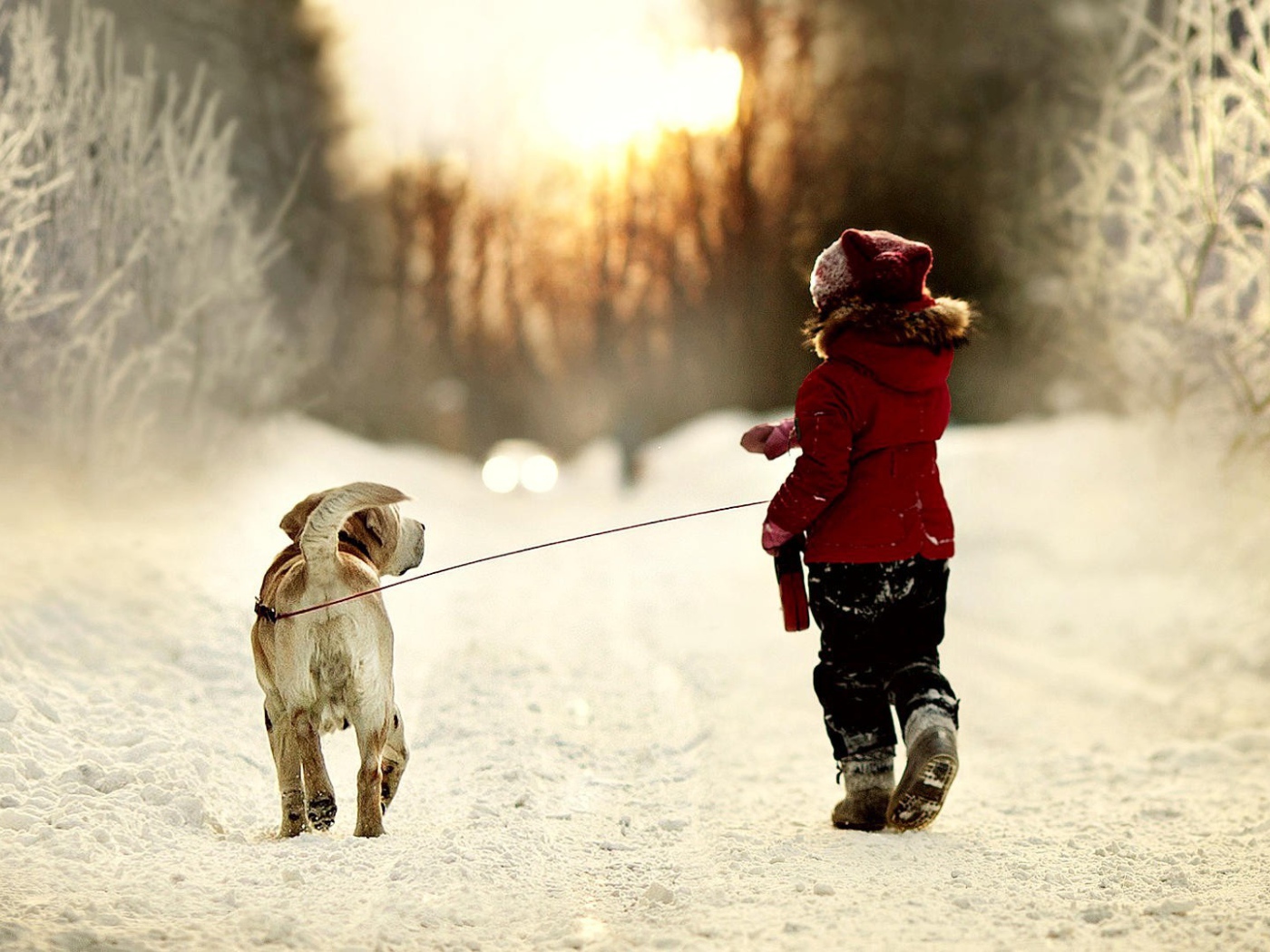 Девочка ведет собаку на поводке на прогулку