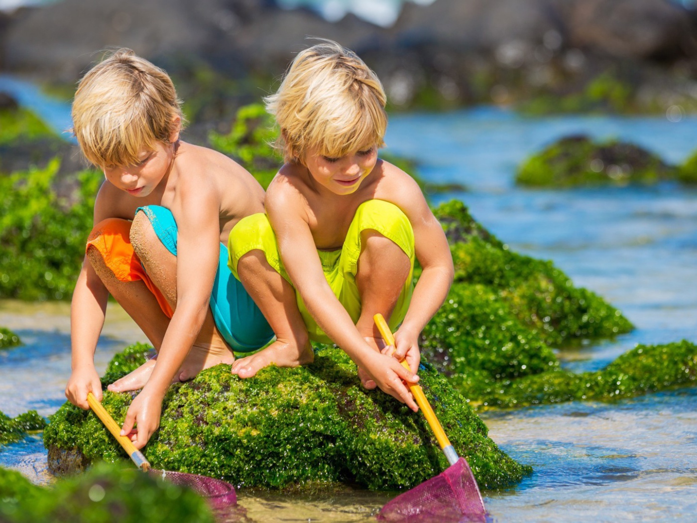 Два брата ловят рыбу сачками