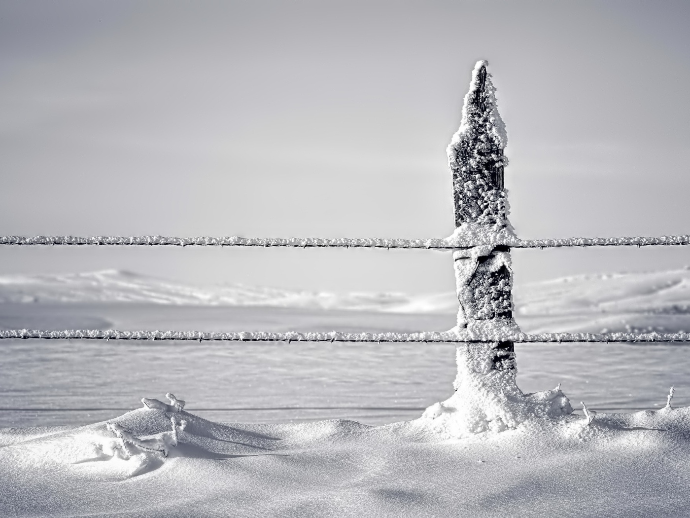 Снег налип на канатах ограждения