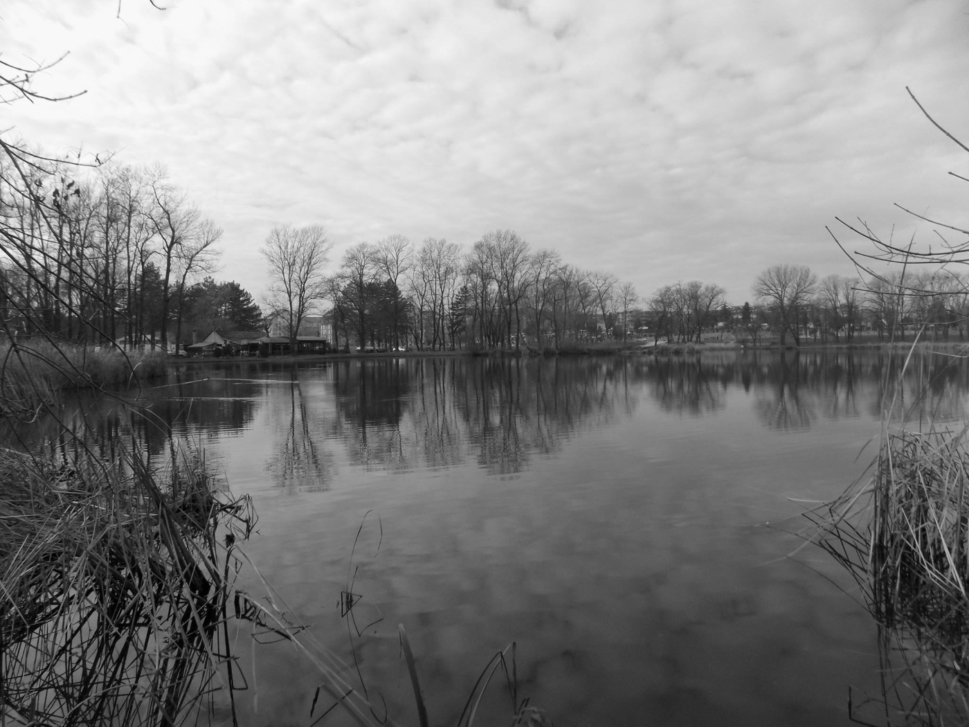 Черно белое фото озера в Сербии