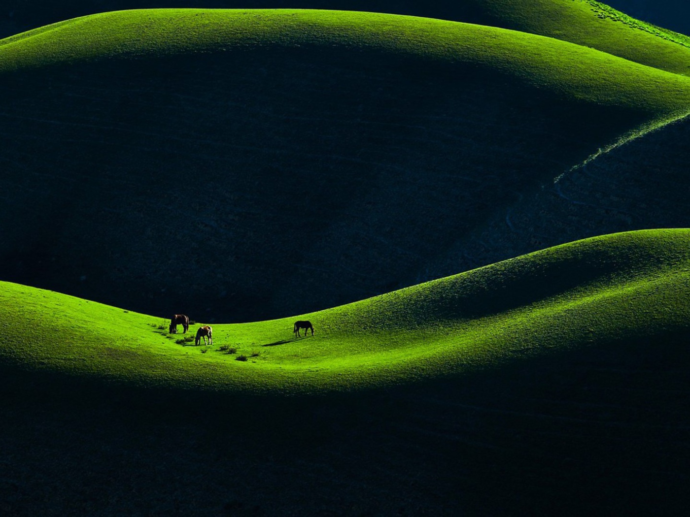 Горное пастбище в Китае