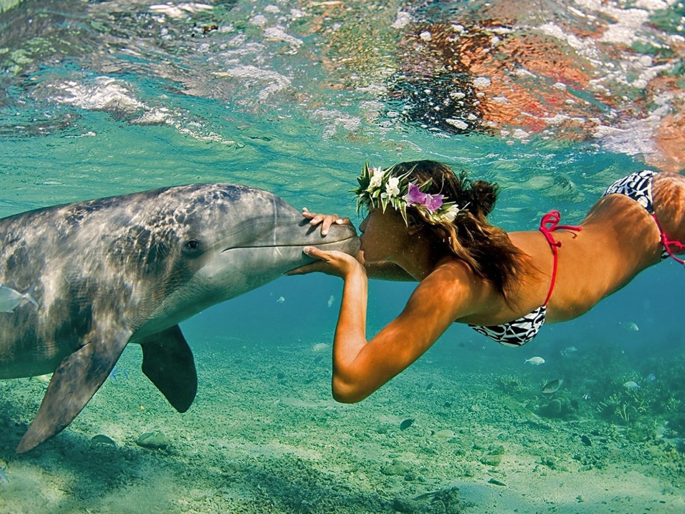 Girl and dolphin underwater, Hawaii