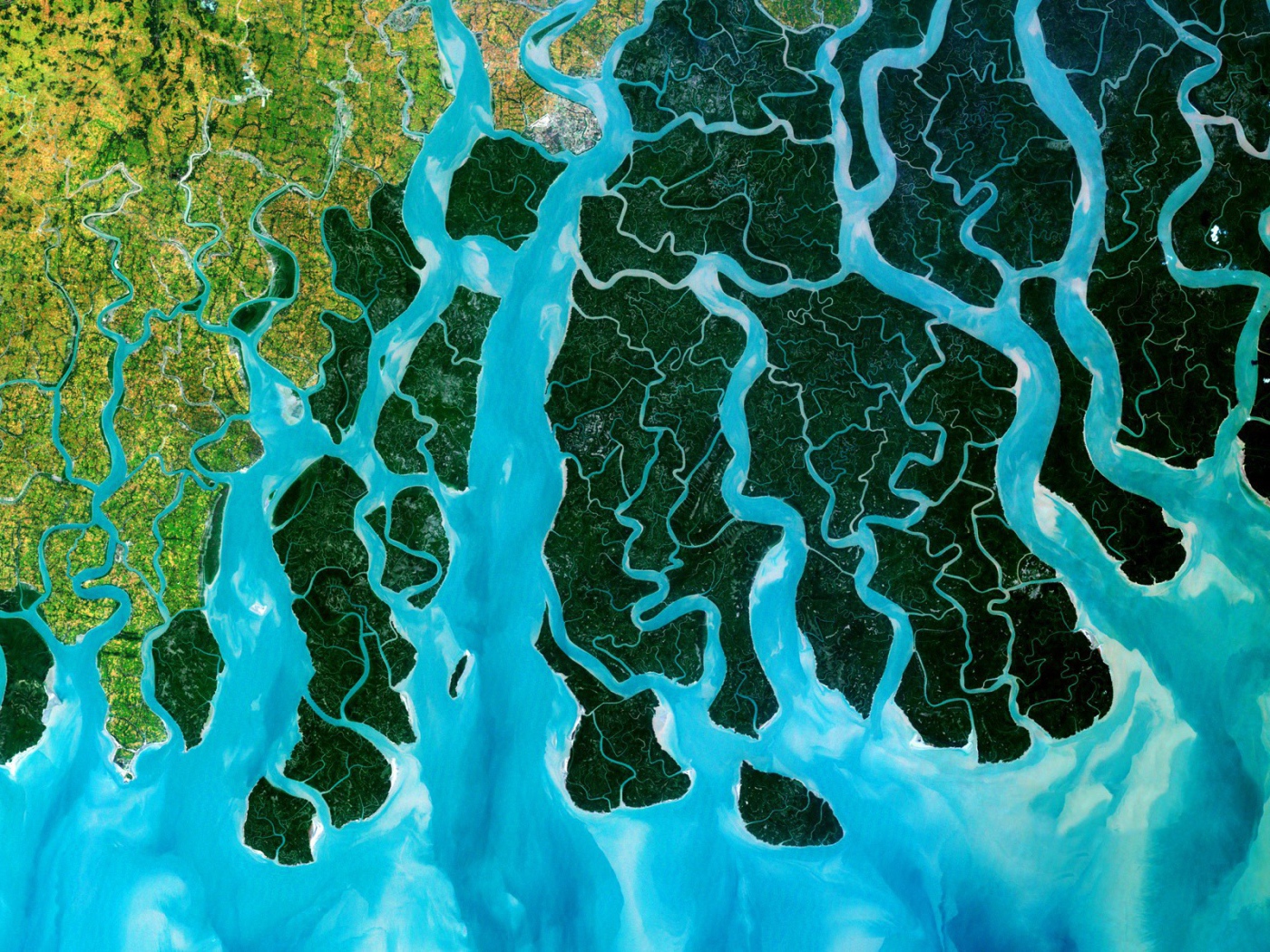 Mouth of the river Ganges, a photo from space
