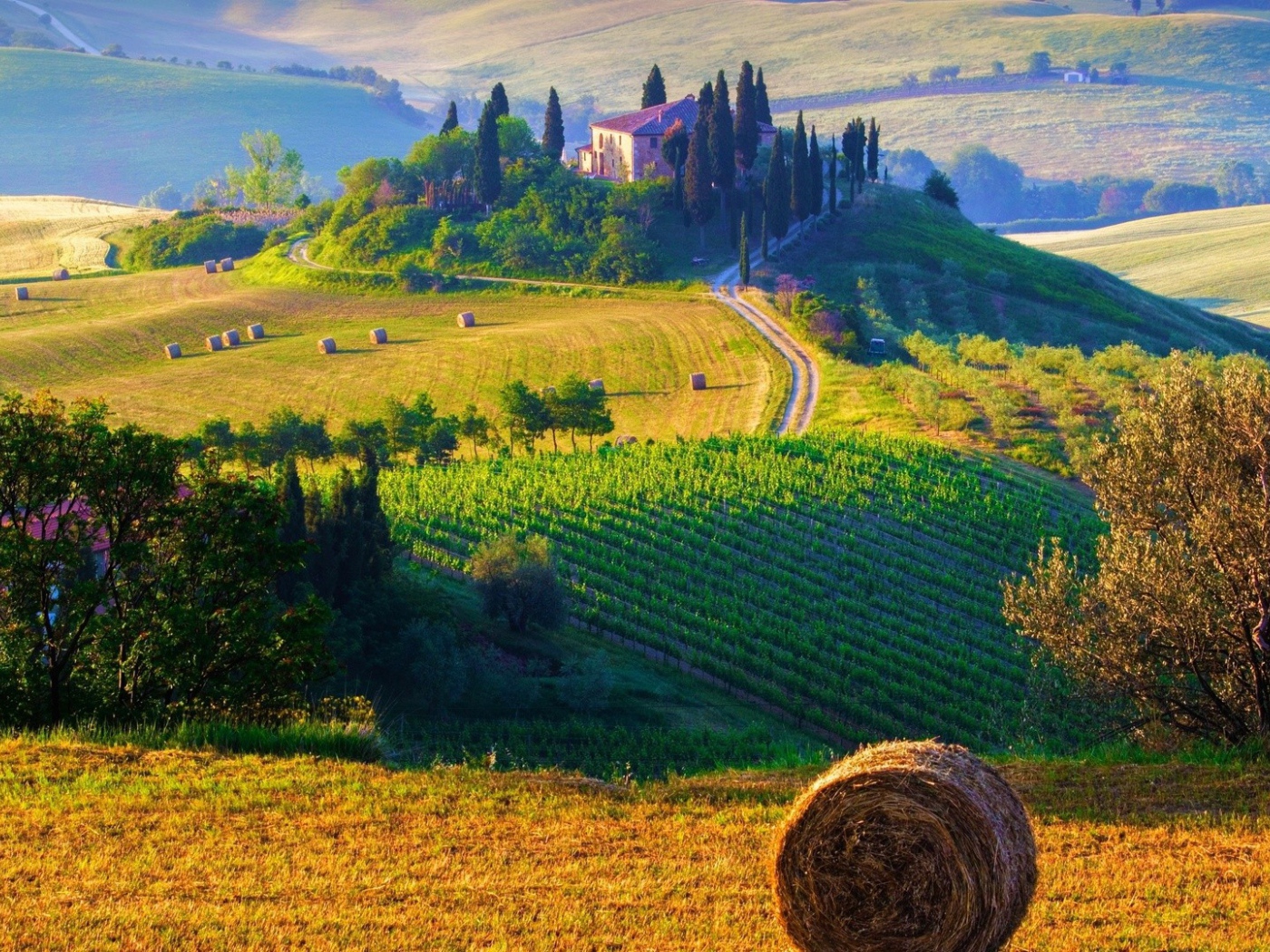 Фермерские поля в Италии