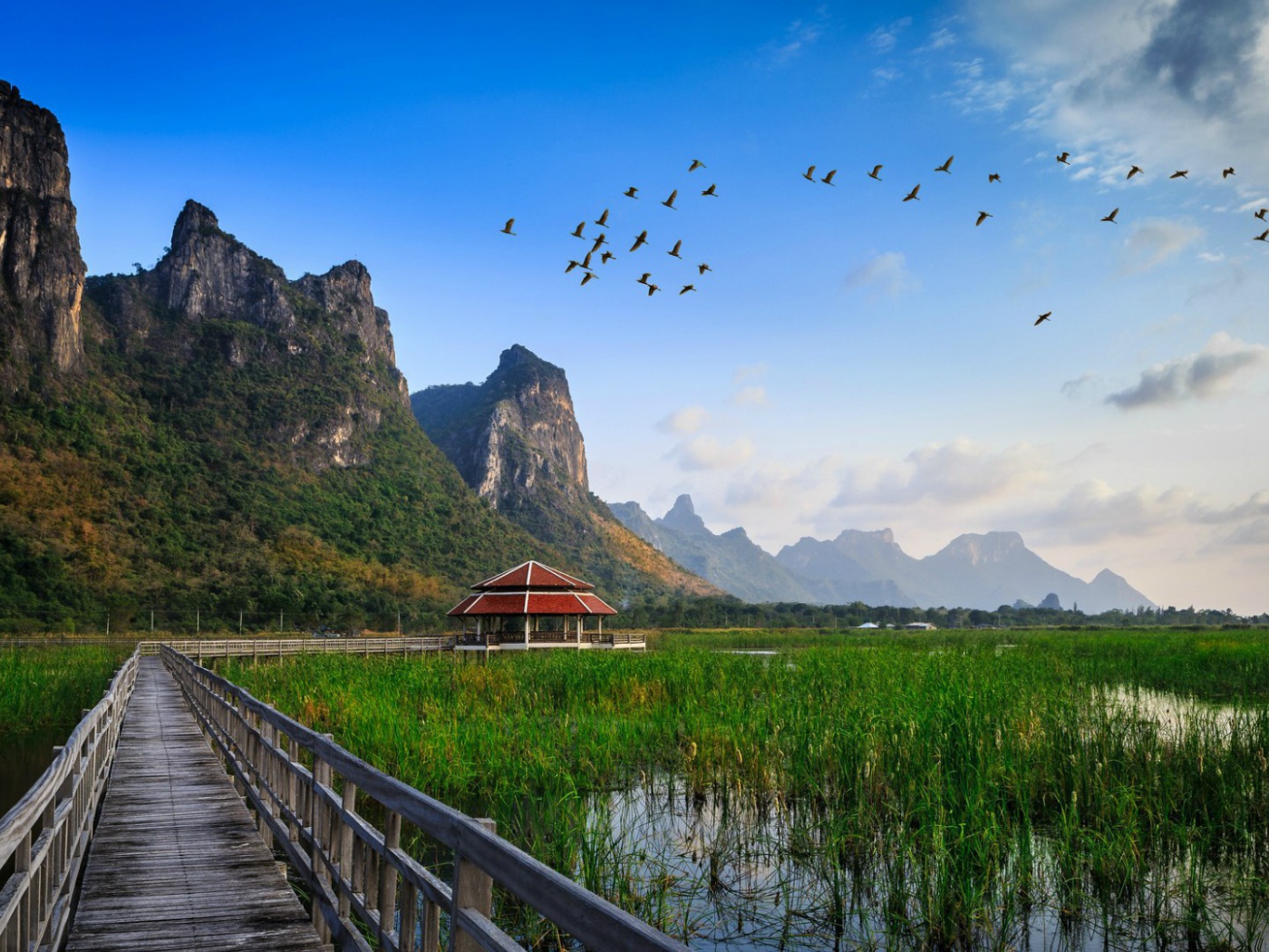 Заболоченная местность в Таиланде
