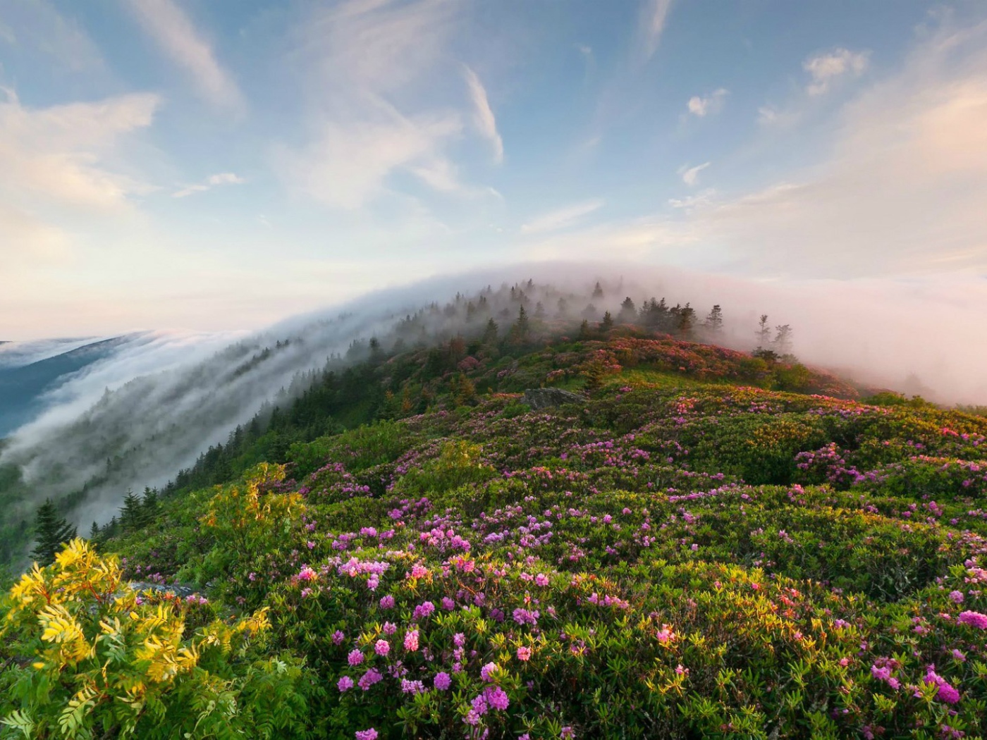 Рон Маунтин, Теннесси, США