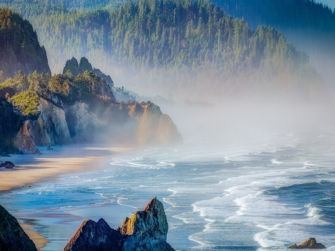 Лесистые горы на берегу в Орегоне