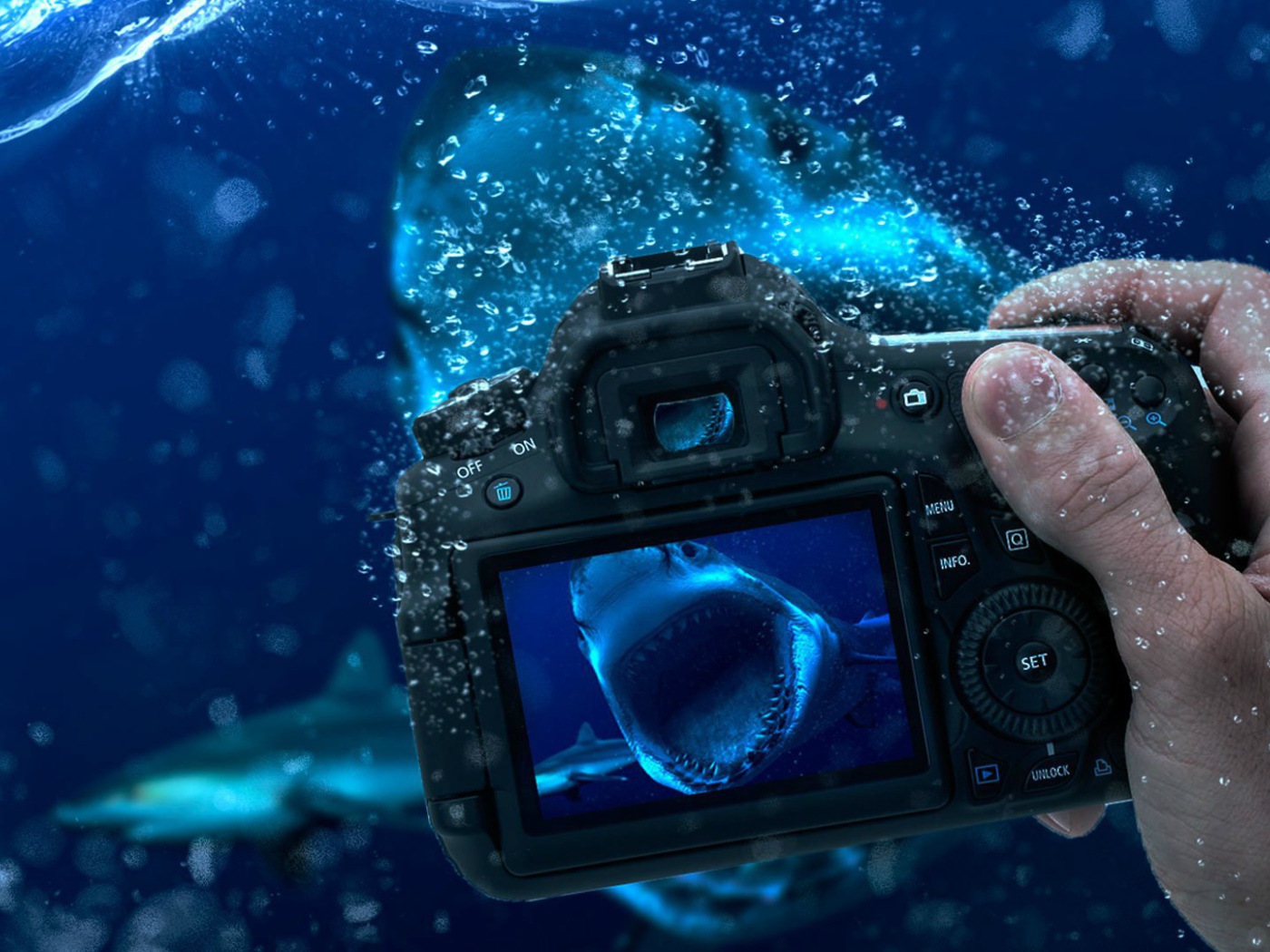 Занятие подводной фотографией