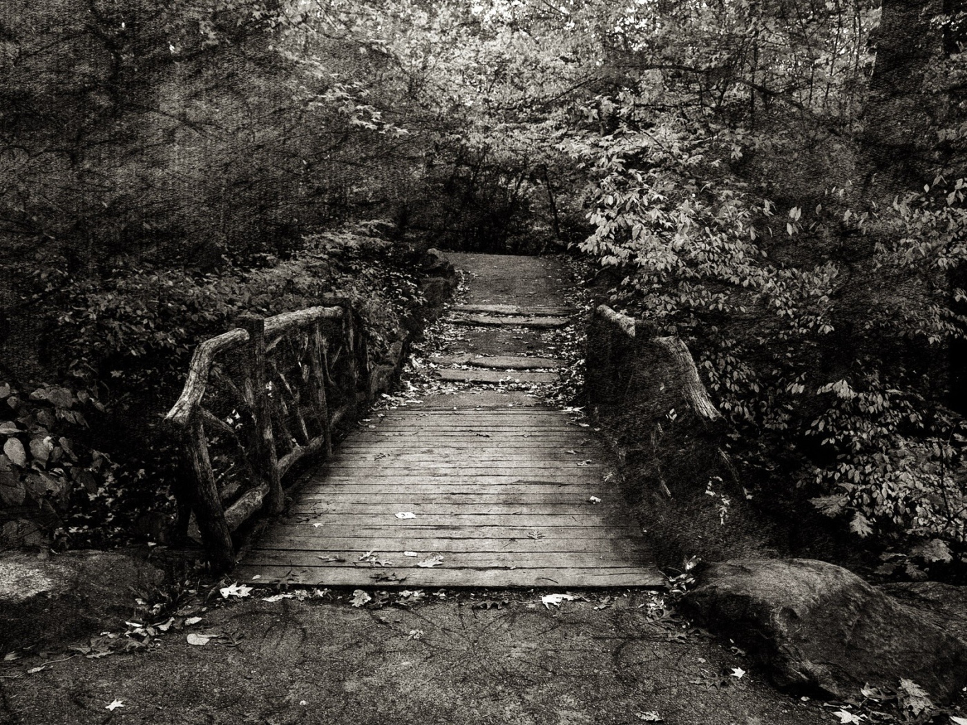 Эффект холста на черно белом фото