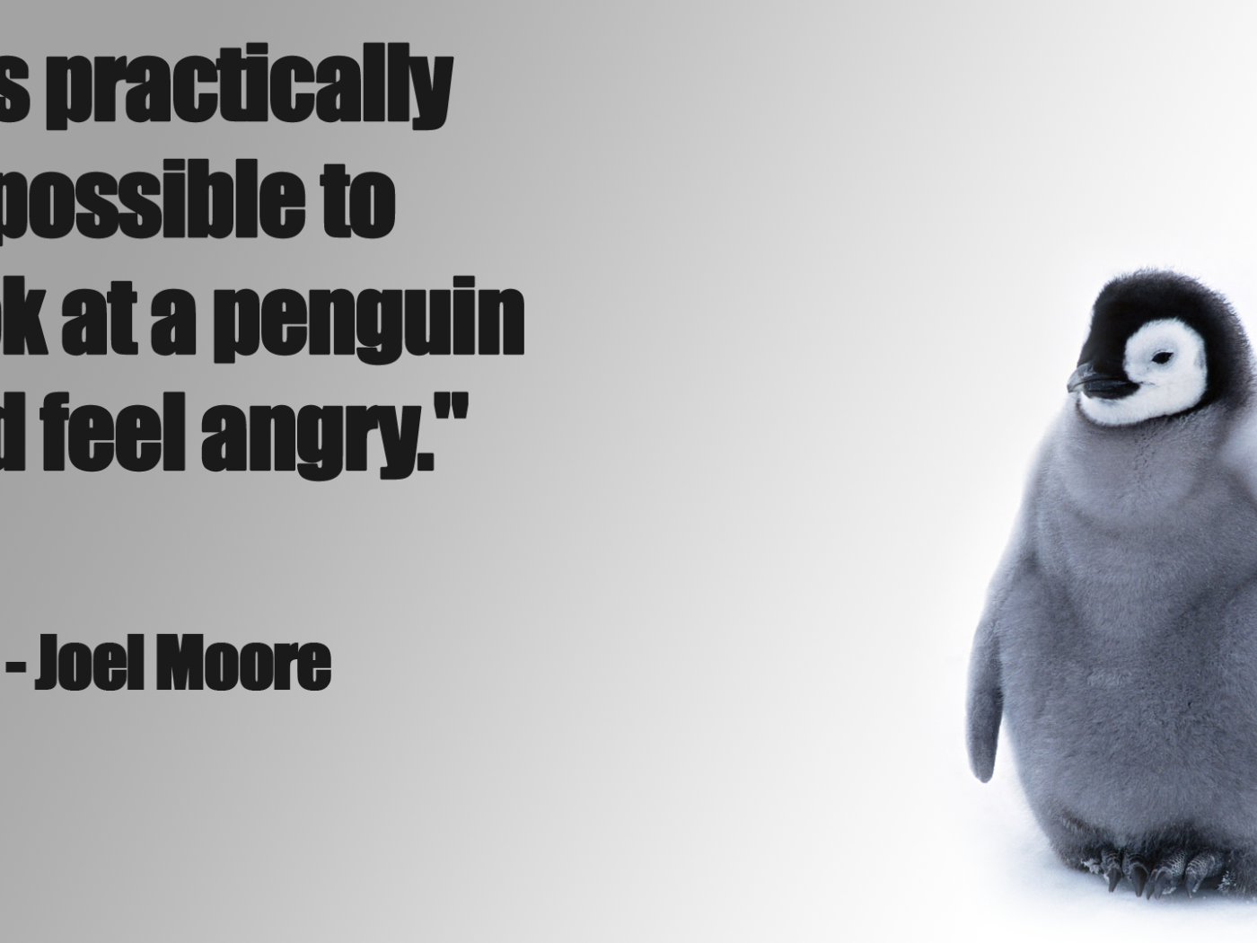 Нельзя смотреть на пингвина и оставаться злым