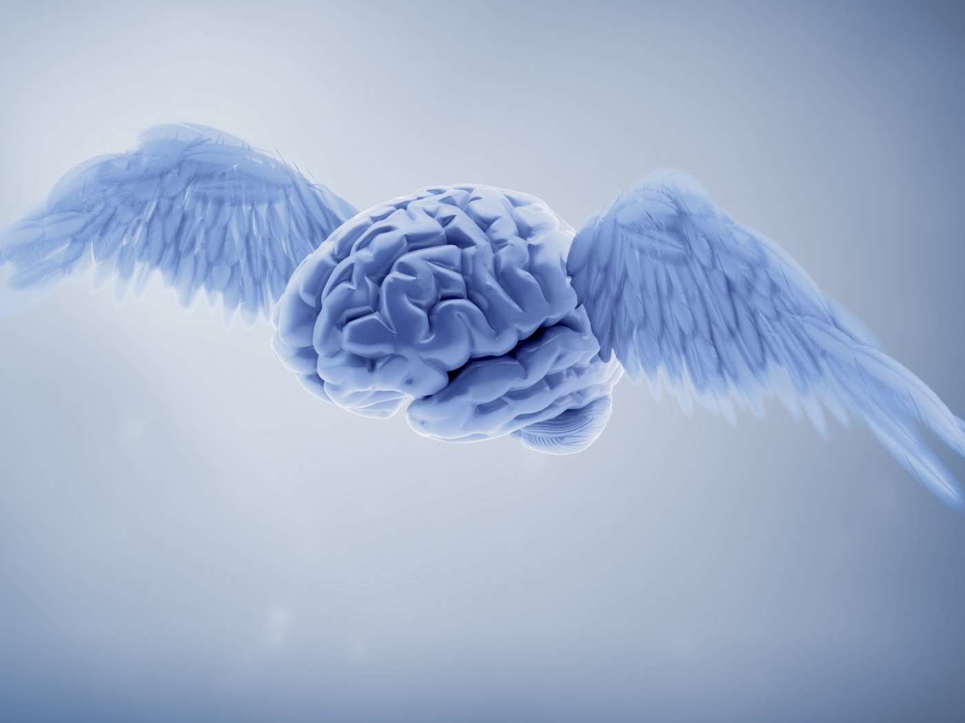 Мозг с крыльями на сером фоне 3д графика