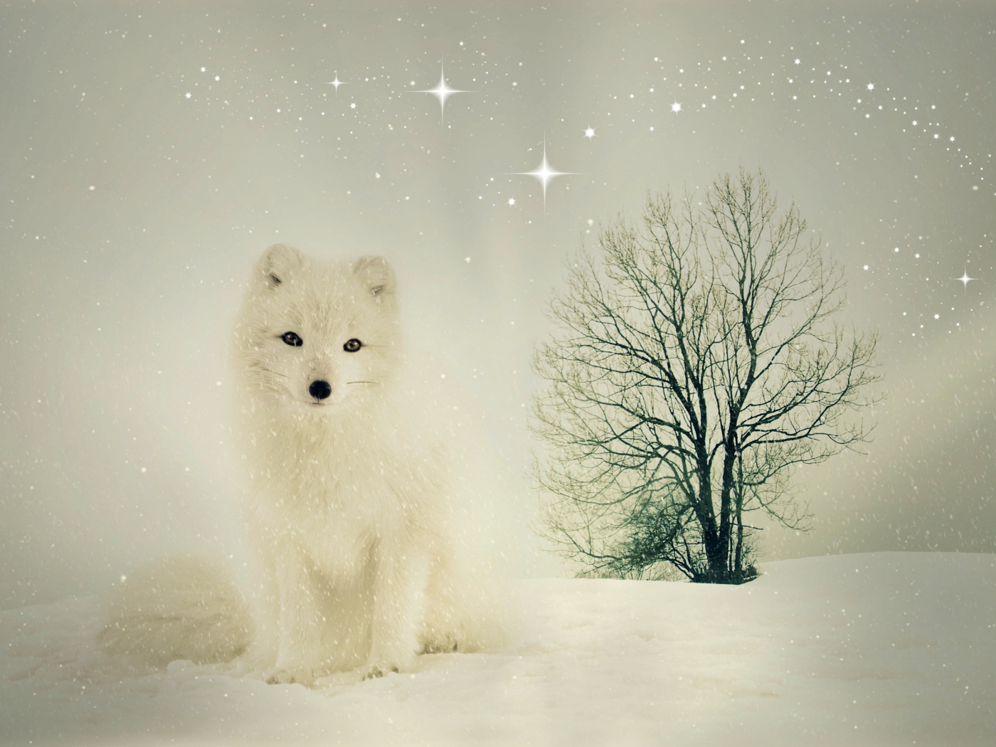 Белый песец сидит на снегу у сухого дерева
