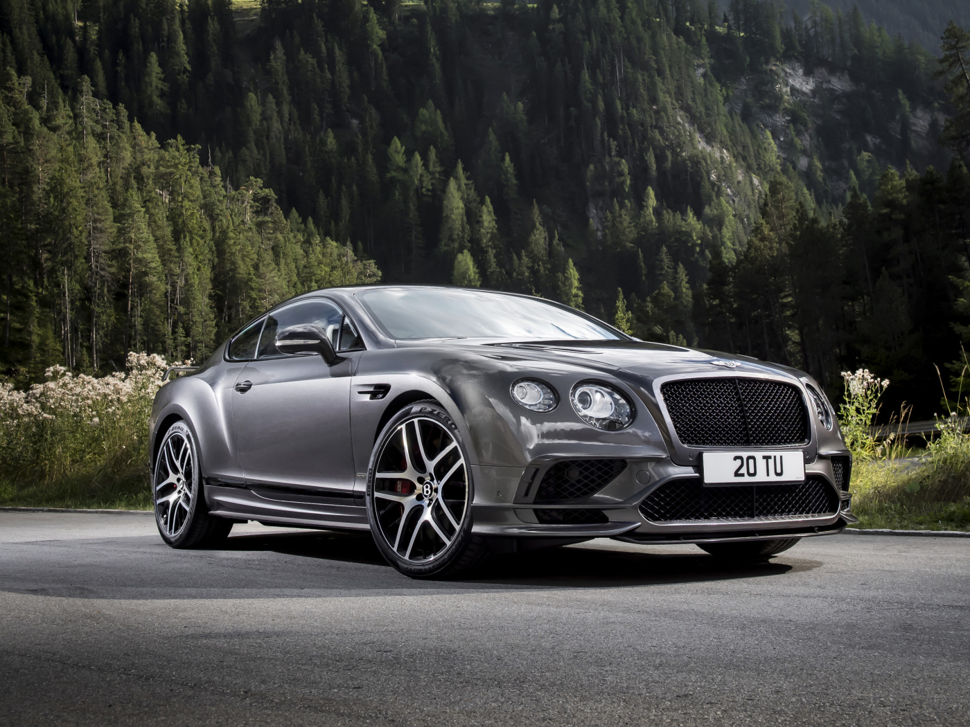 Серебристый автомобиль Bentley Continental GT на фоне леса 