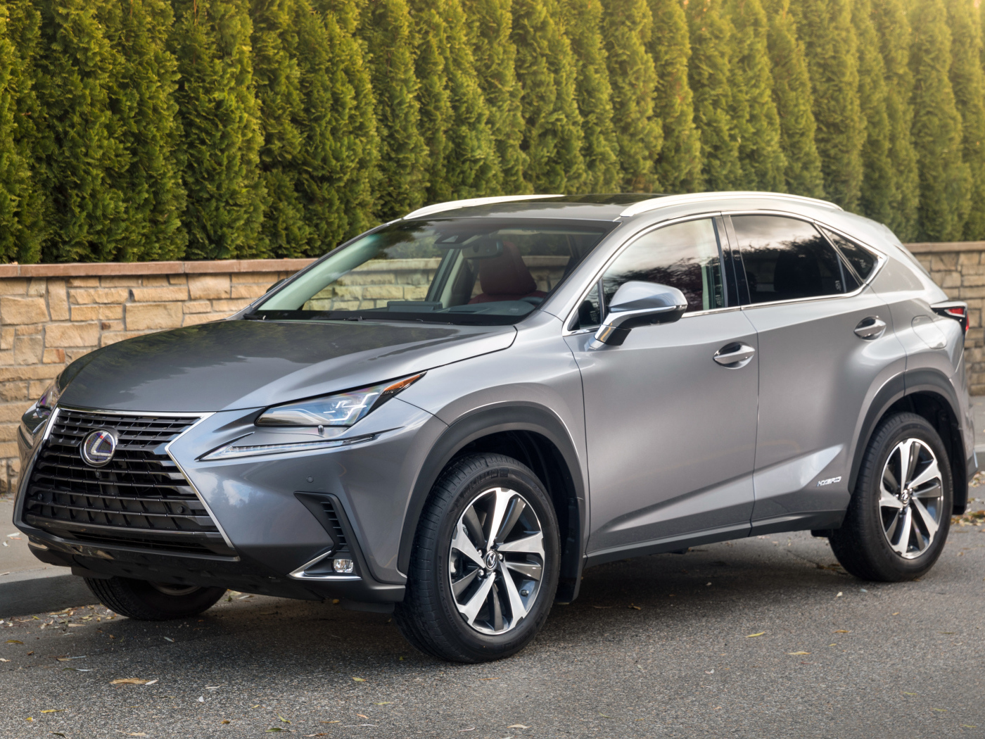 Серебристый внедорожник Lexus NX 300h, 2017 на фоне леса