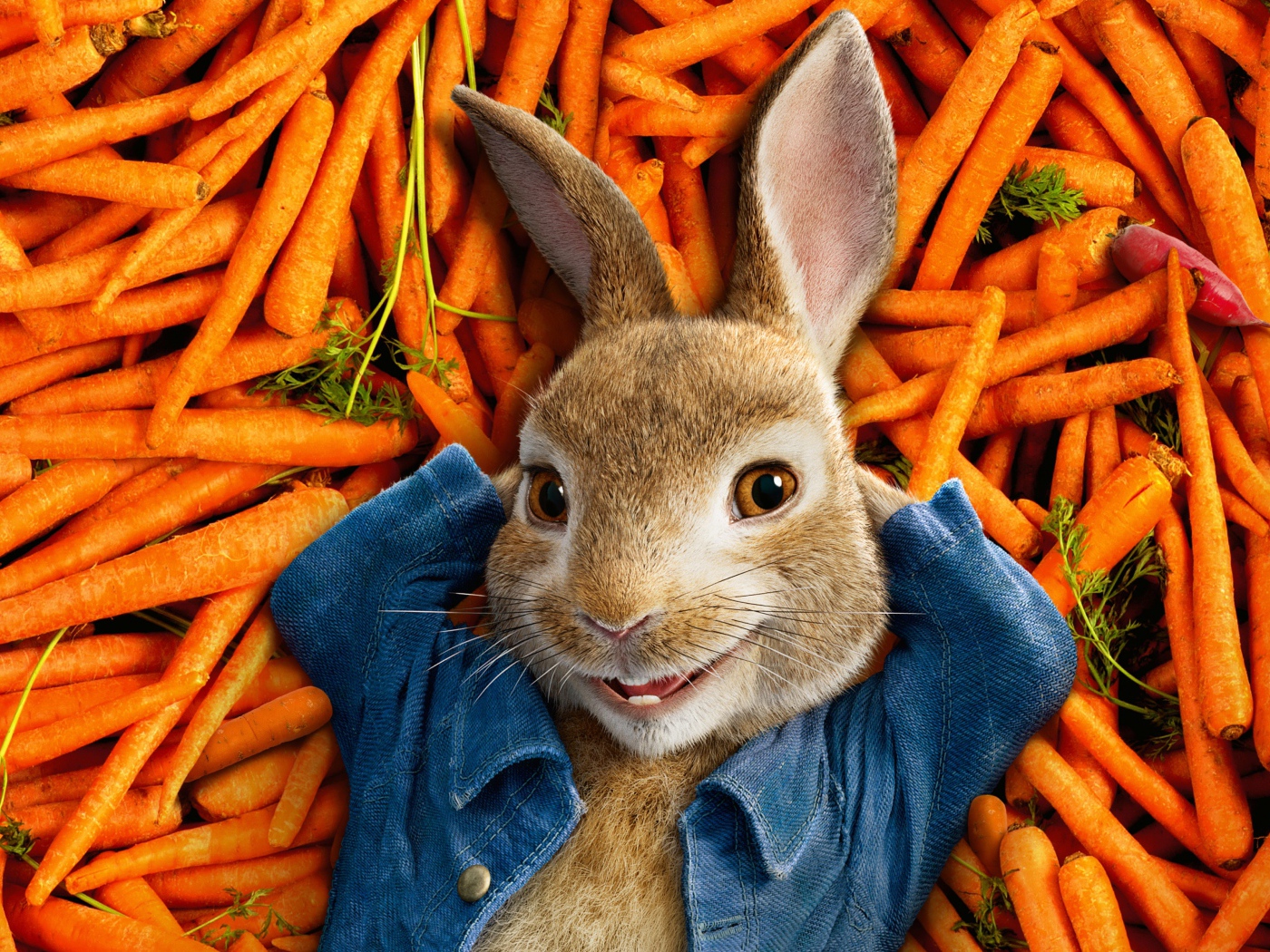 Кролик персонаж мультфильма Приключения Кролика Питера, 2018