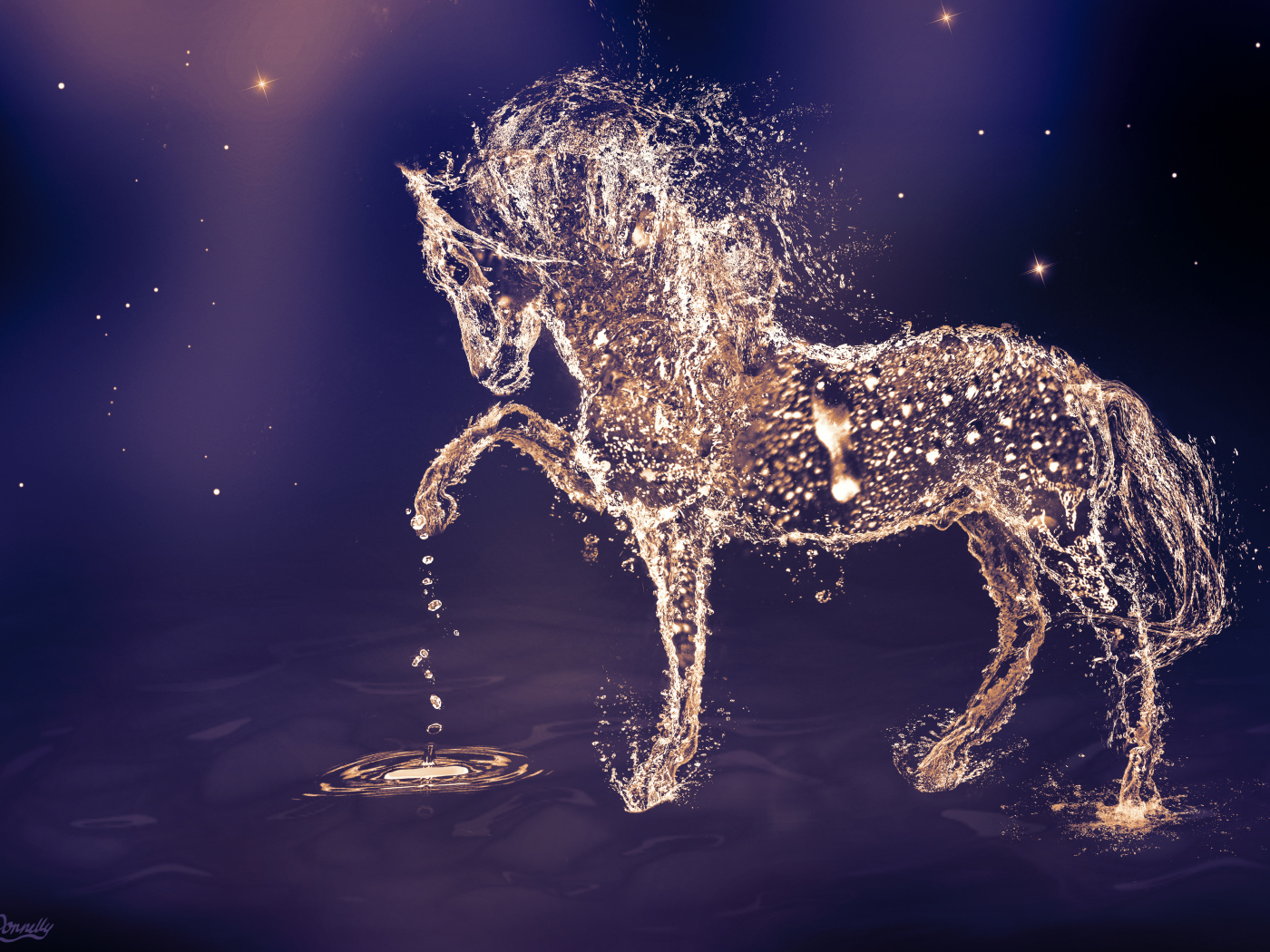 Красивый конь из воды на синем фоне 