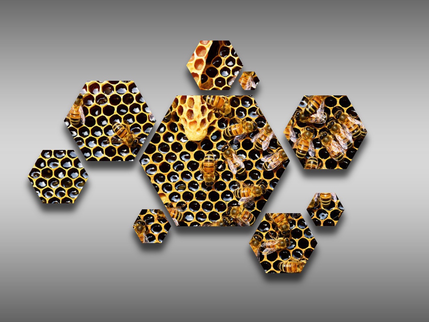 Шестиугольные соты с пчелами на сером фоне  