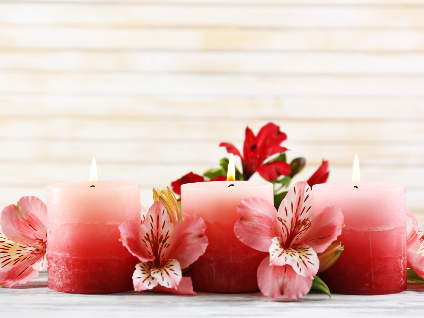 Три розовых свечи с цветами амариллиса