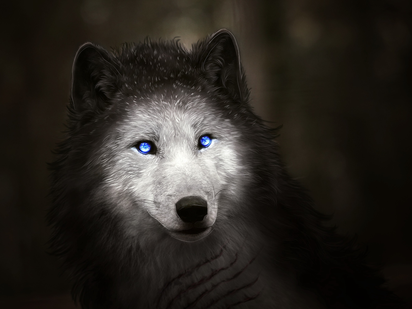 Fantastic white wolf with blue eyes
