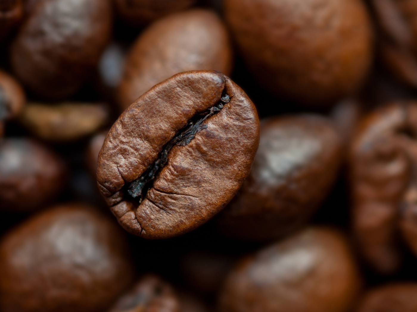 Кофейное зерно крупным планом