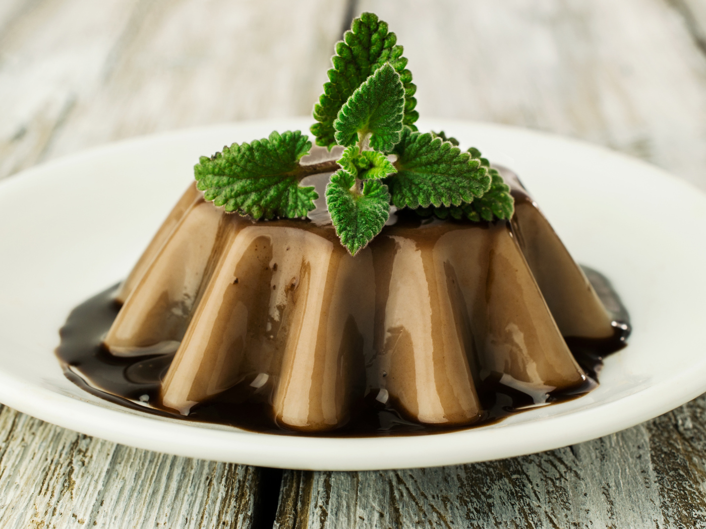 Десерт из желе на белой тарелке с шоколадом