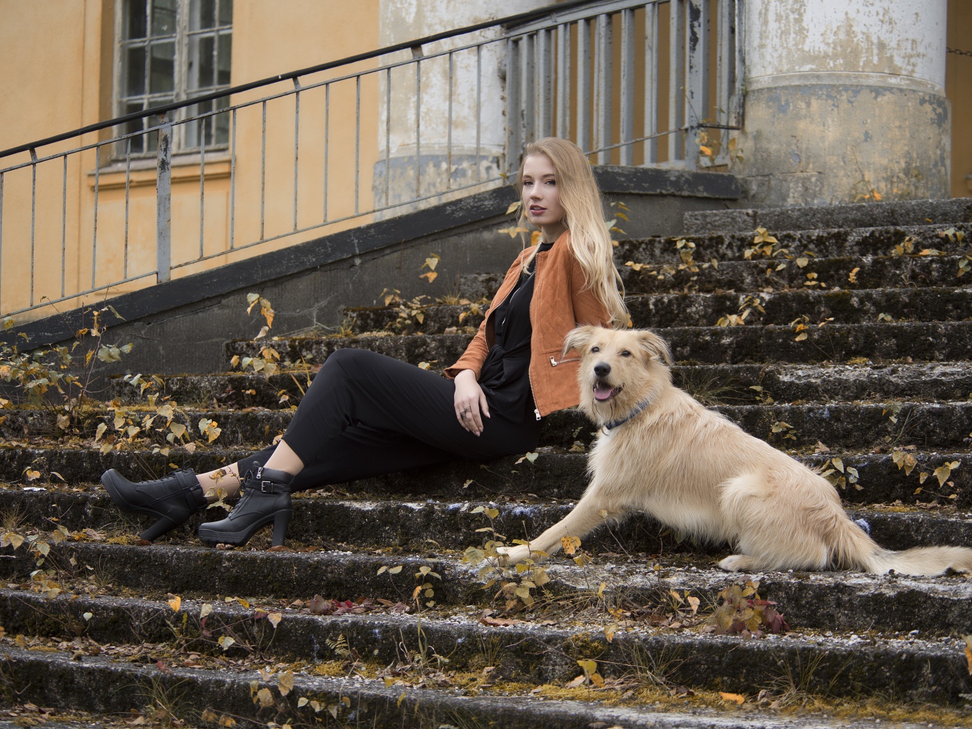 Молодая девушка сидит с собакой на старых ступеньках