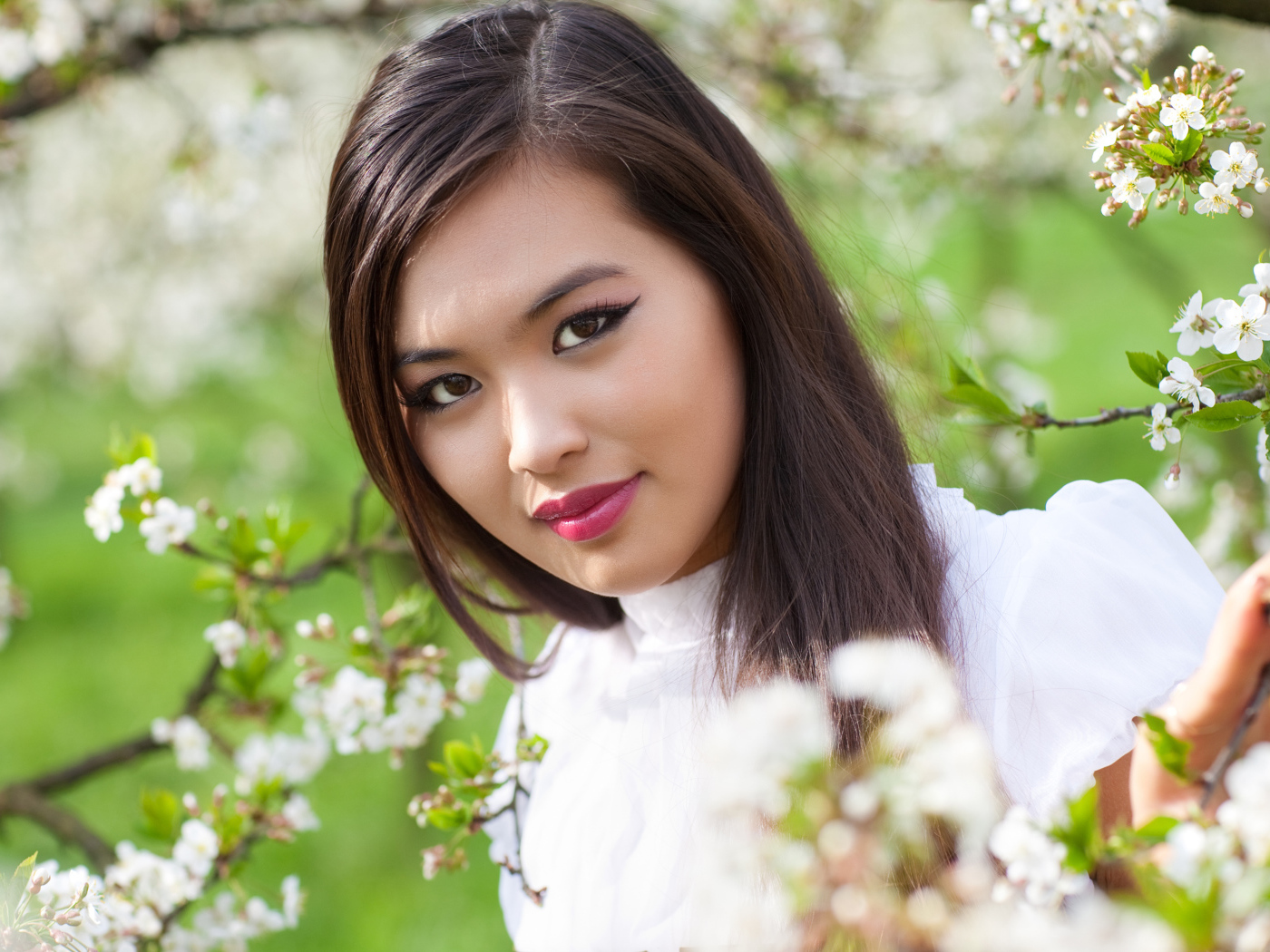 Красивая девушка азиатка в ветках цветущего дерева
