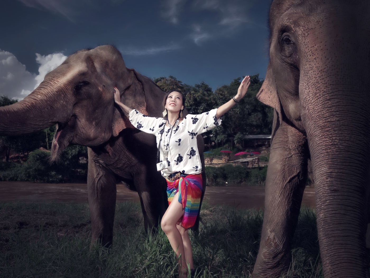 Красивая девушка азиатка с двумя большими слонами