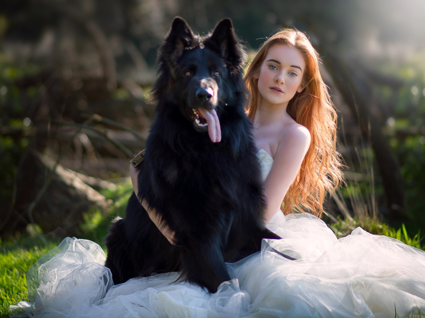 Красивая девушка невеста с большой черной собакой