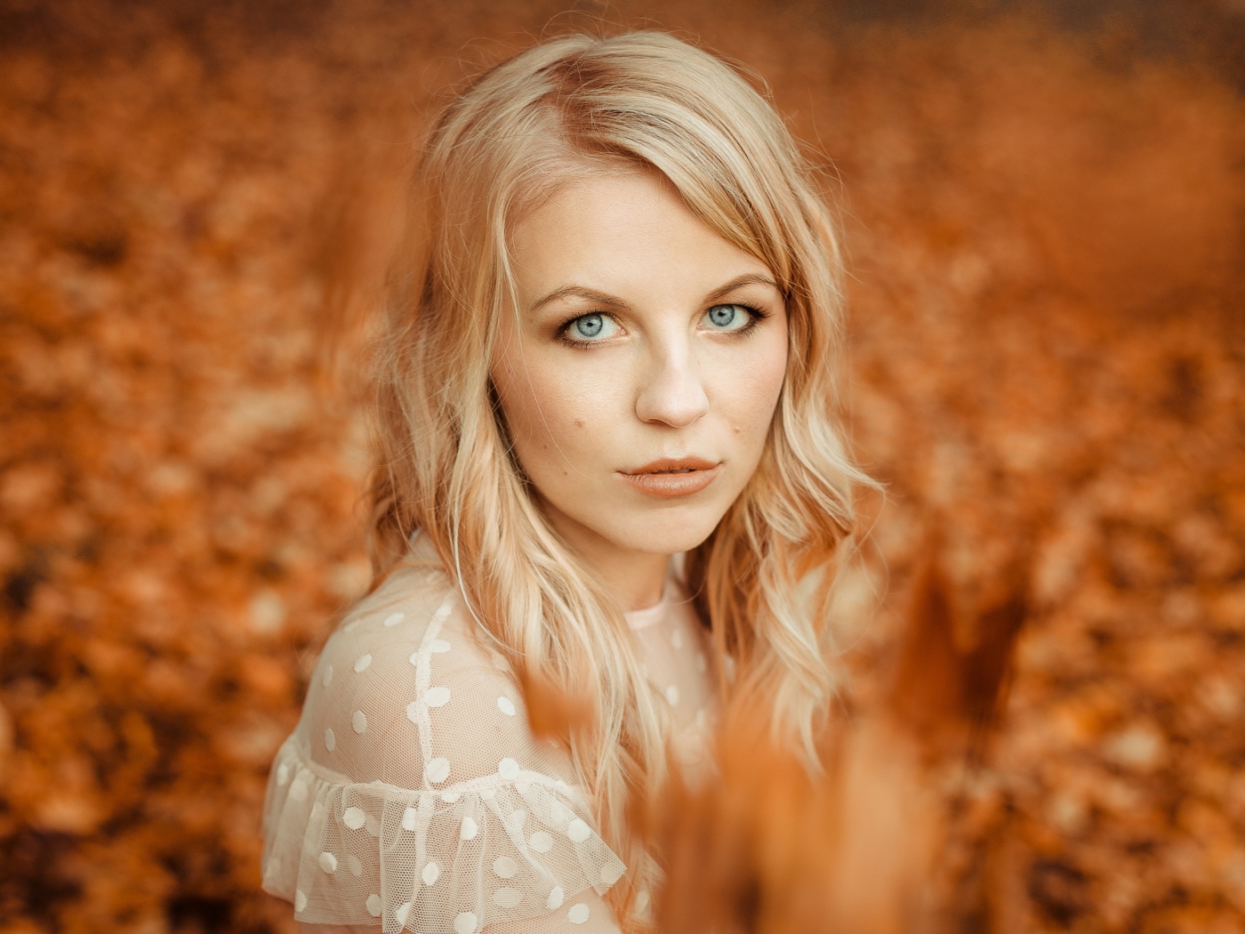 Голубоглазая девушка блондинка на фоне желтой листвы