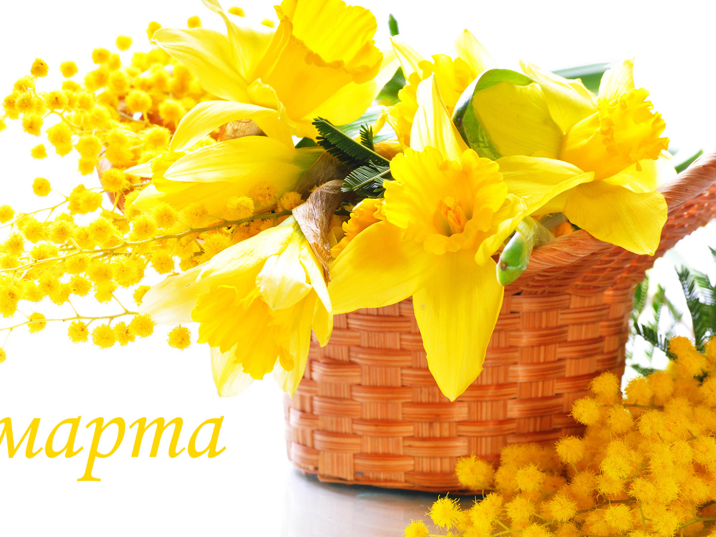 Желтые нарцисы и мимоза на 8 Марта