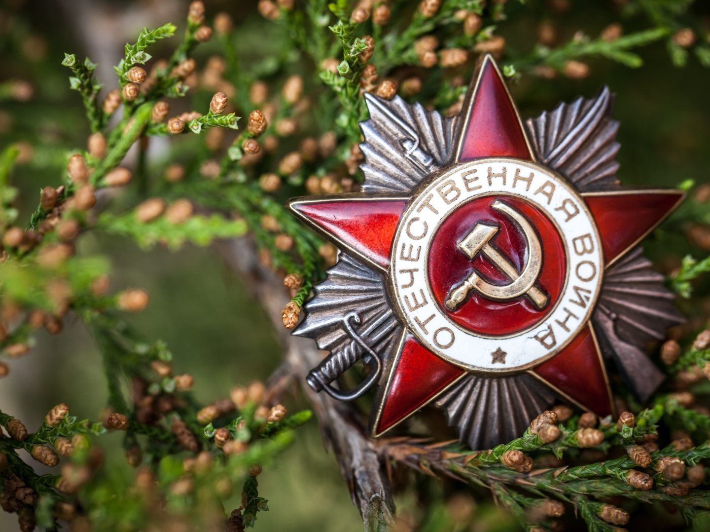 Орден Отечественной войны на День Победы 9 мая 