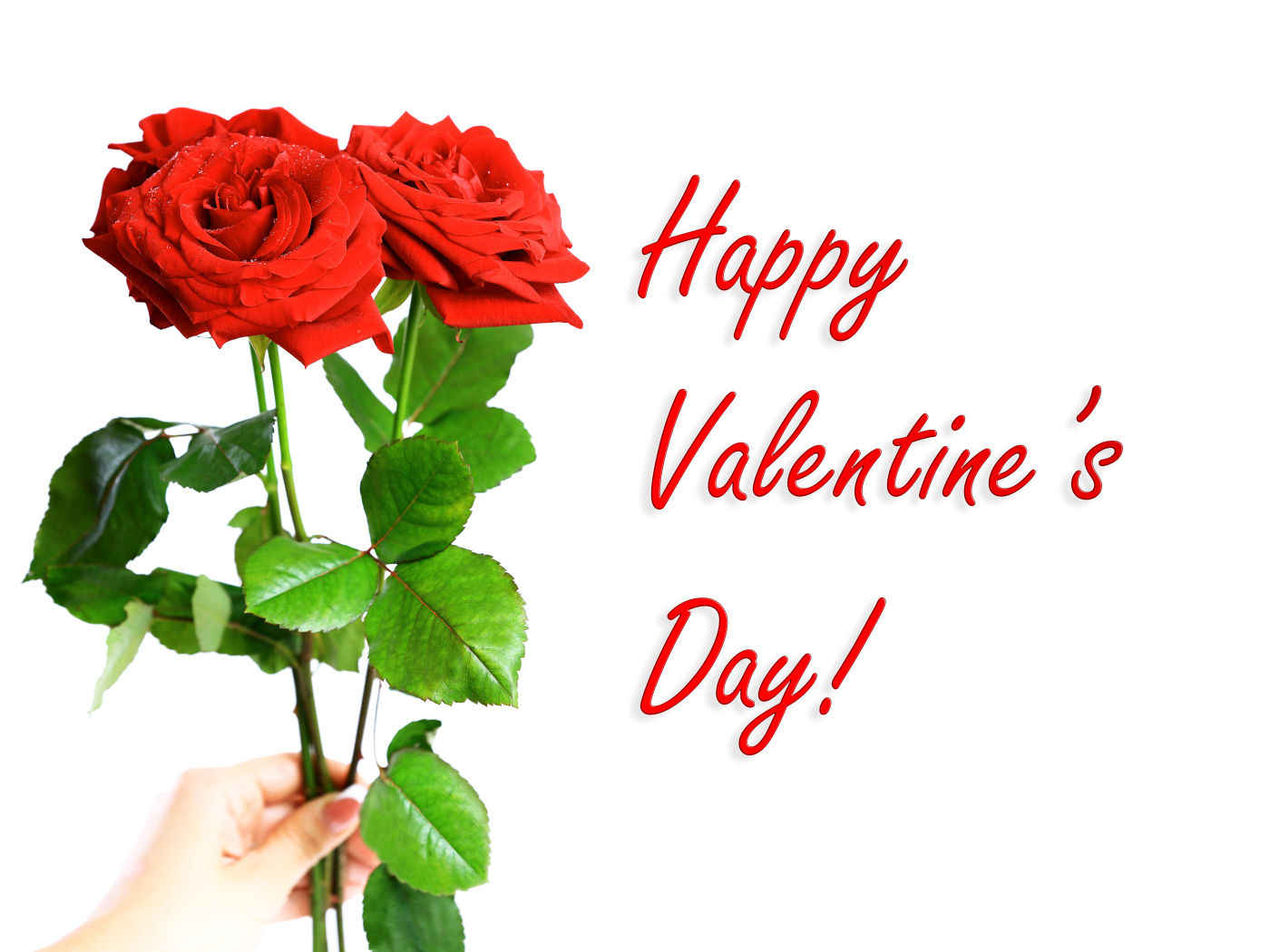 Три красных розы на День Святого Валентина, 14 февраля