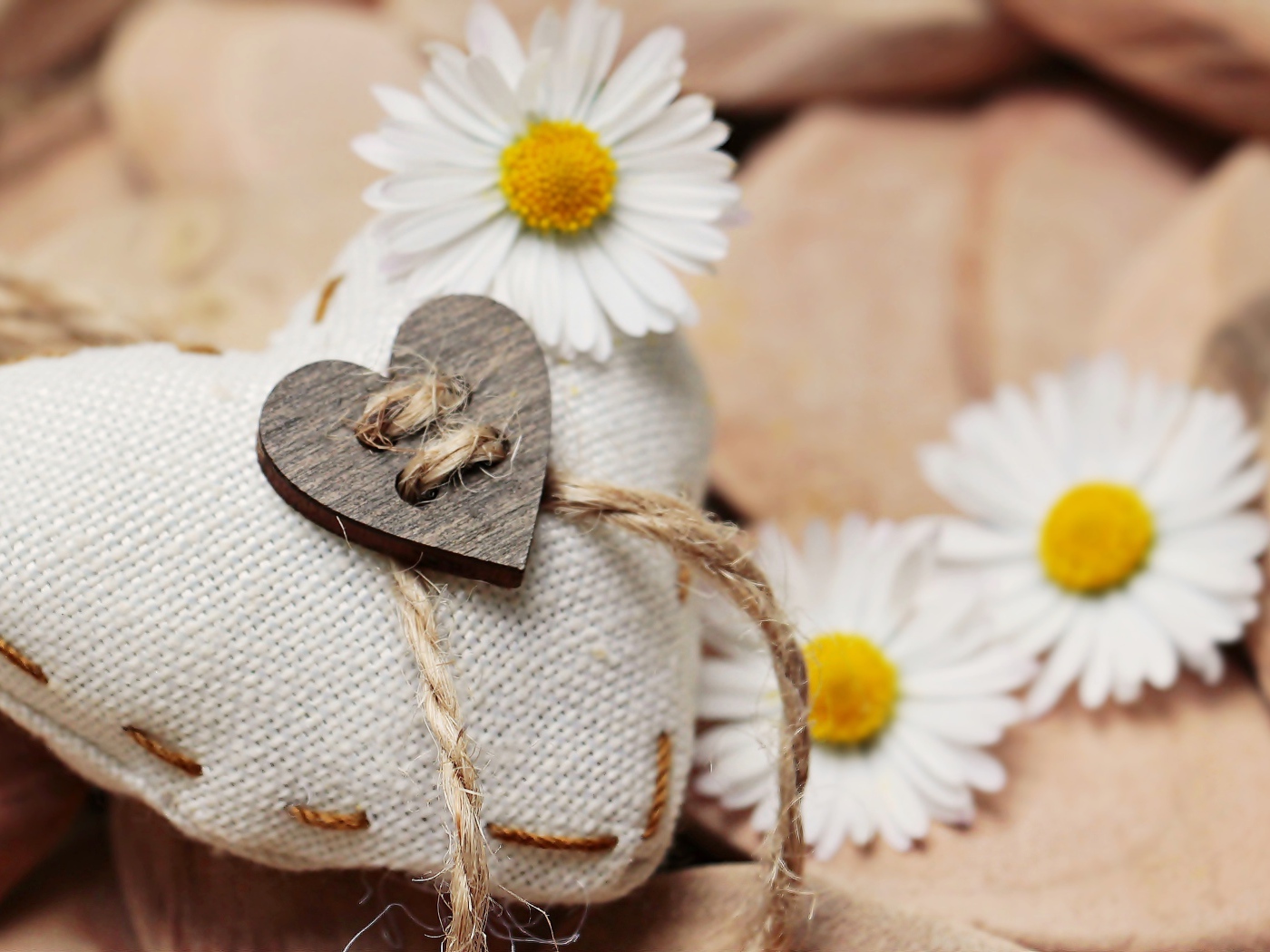 Сердце из ткани с белыми цветами ромашки