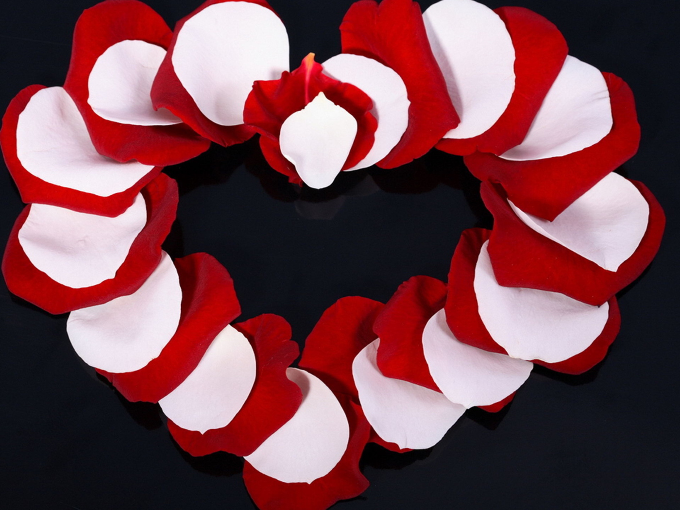 Сердце из лепестков розы 