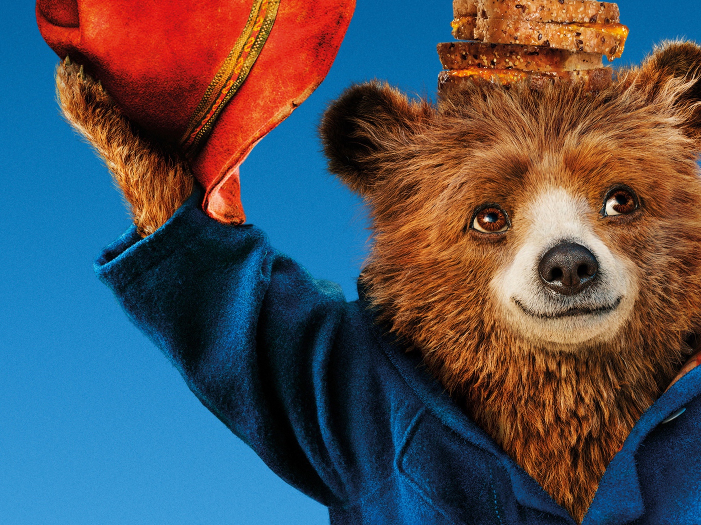 Медведь персонаж фильма Приключения Паддингтона 2, 2017