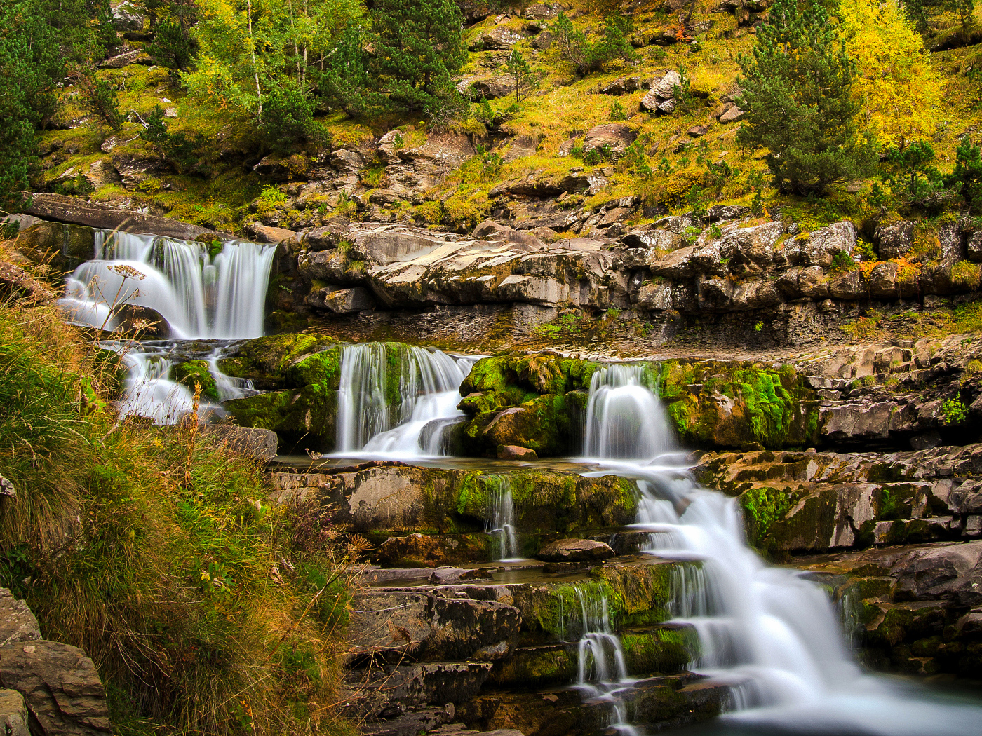 Быстрый ручей стекает по скале в осеннем лесу