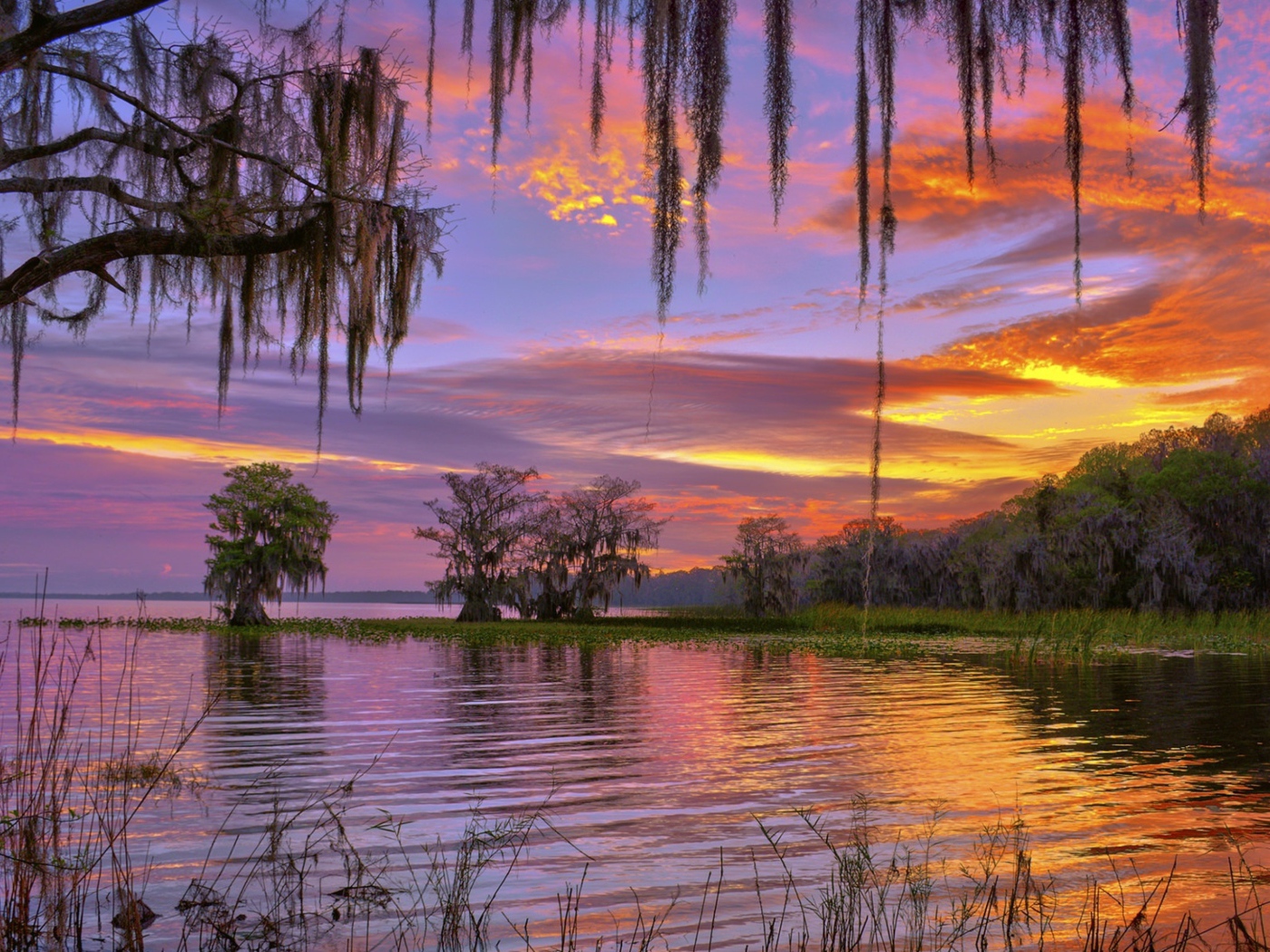 Красивое небо на закате над лесным озером