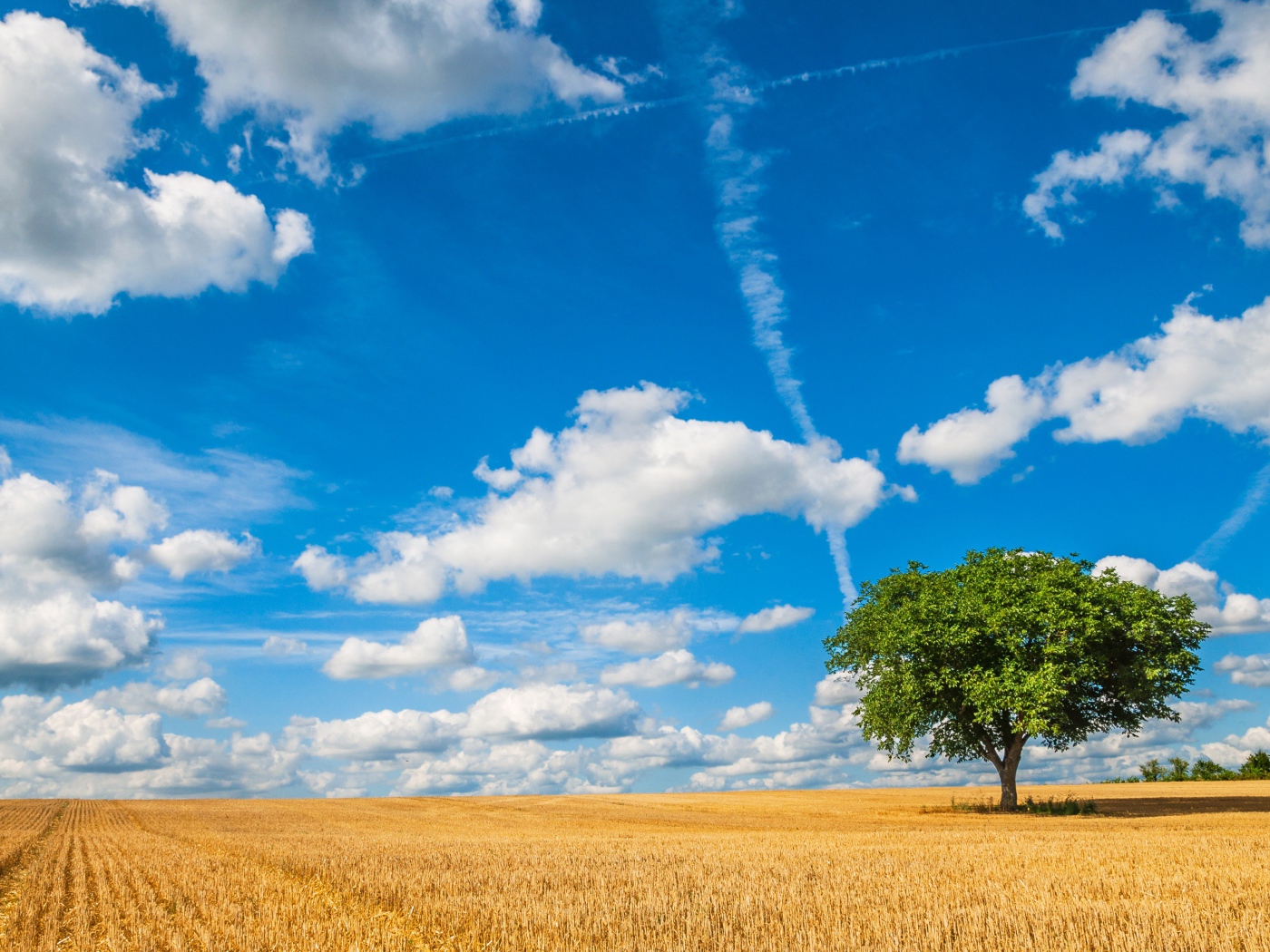 Голубое небо с белыми облаками над полем пшеницы