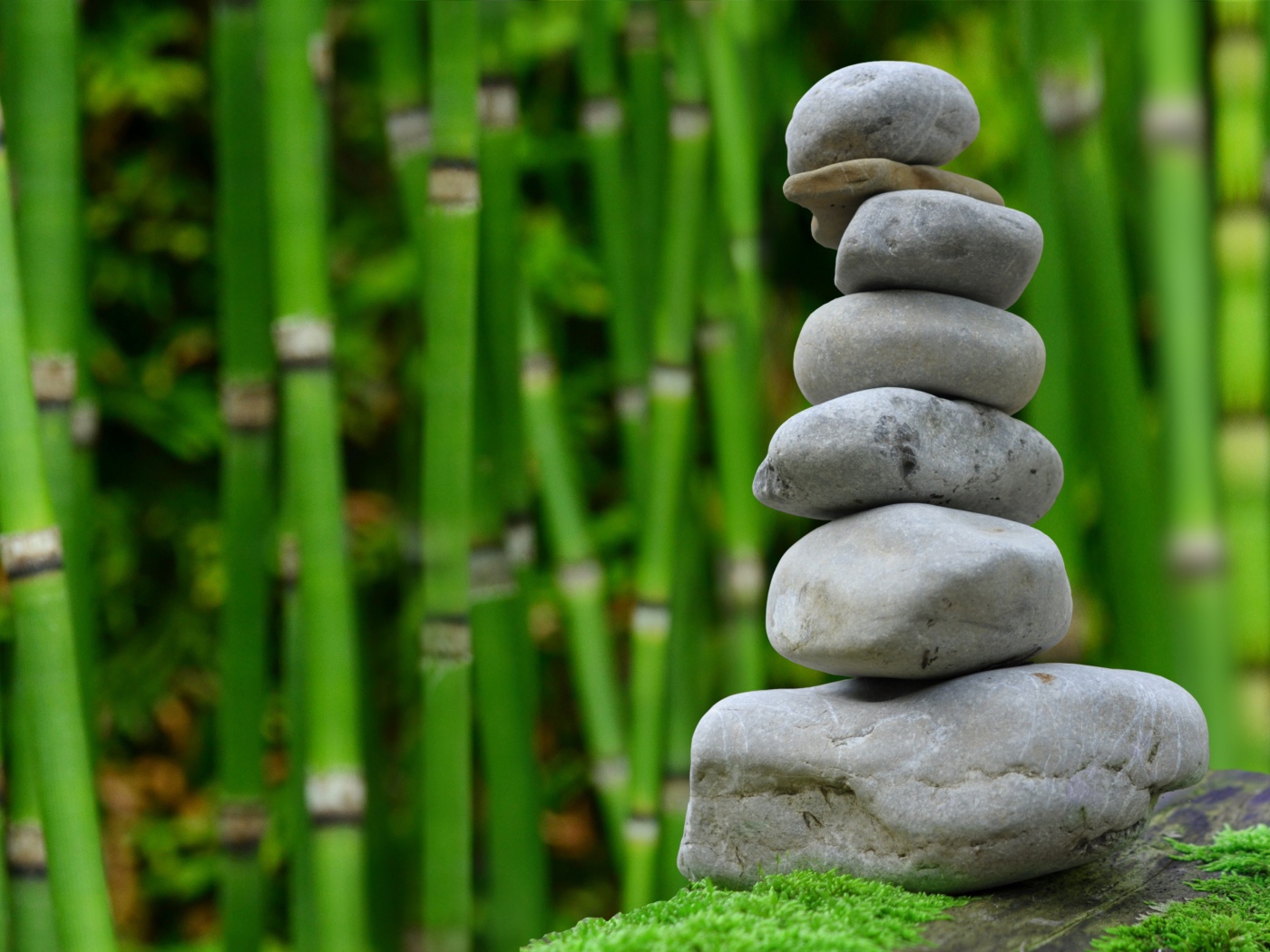 Серые камни на фоне зеленого бамбука